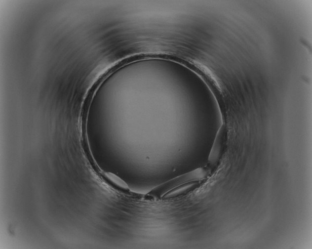X0000091580935200708271217