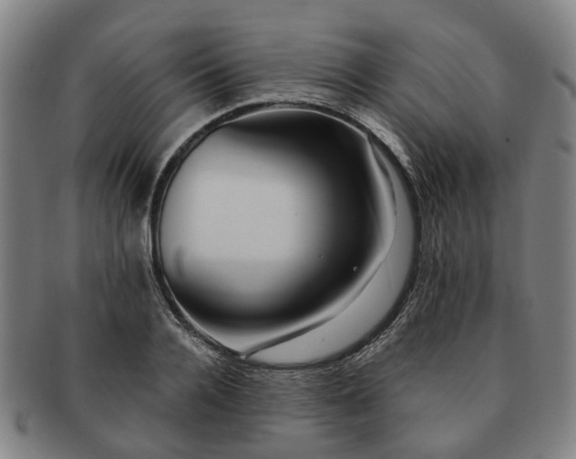 X0000091580936200708271217