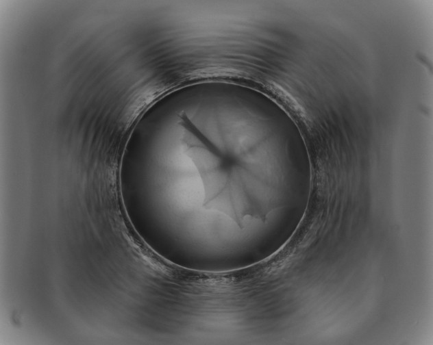 X0000091580937200708271217