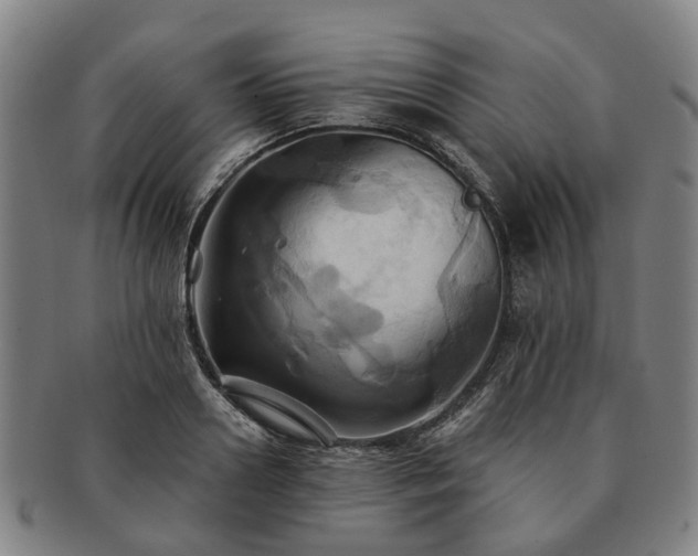 X0000091580938200708271217
