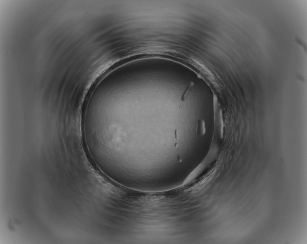 X0000091580939200708271217