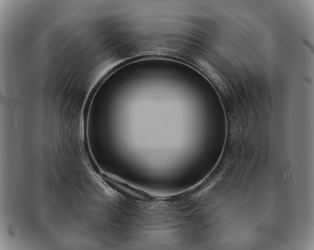 X0000091580940200708271217