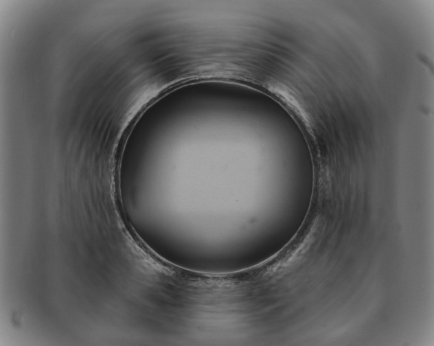 X0000091580941200708271217