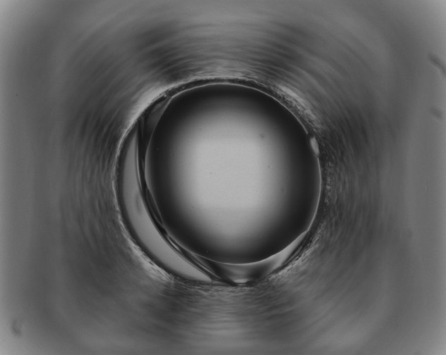 X0000091580942200708271217