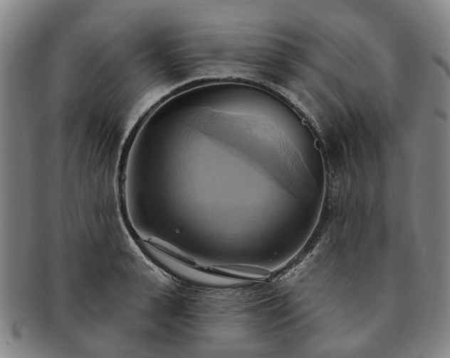 X0000091580943200708271217