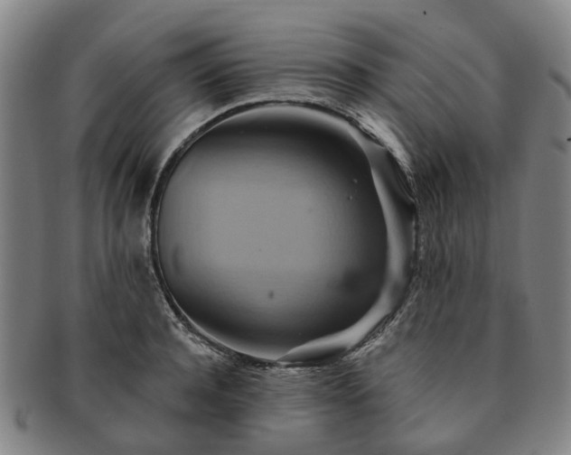 X0000091580944200708271217