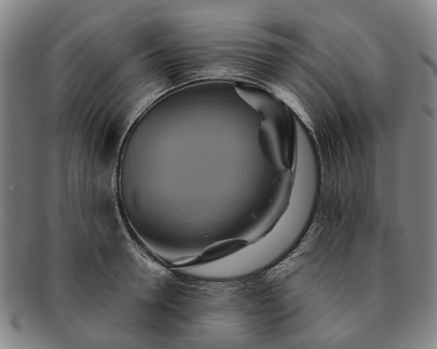 X0000091580946200708271217