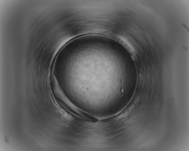 X0000091580948200708271217