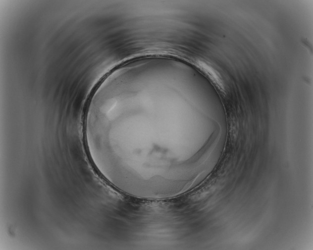 X0000091580950200708271217