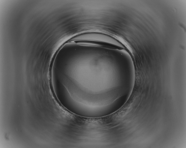 X0000091580951200708271217