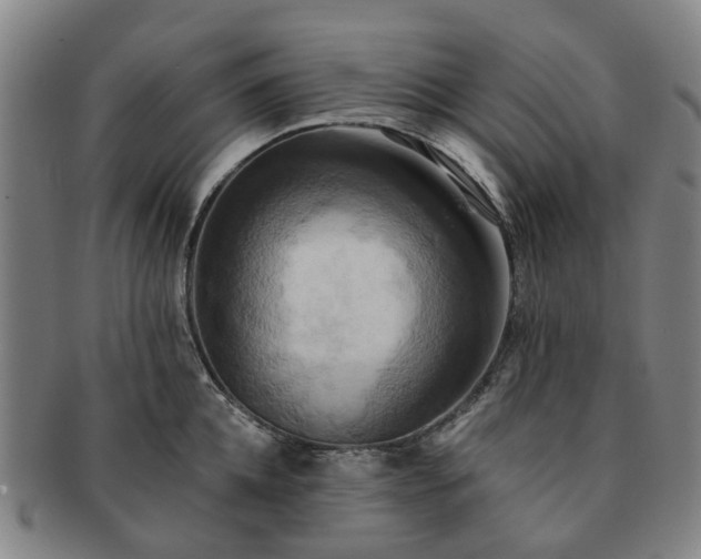 X0000091580952200708271217