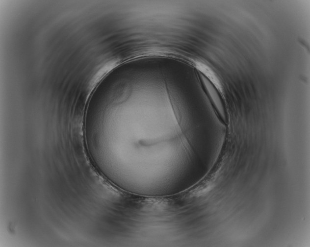 X0000091580954200708271217