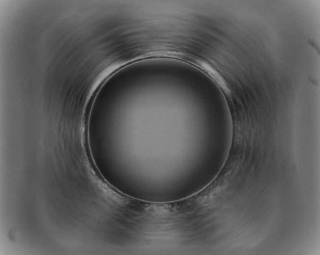 X0000091580955200708271217