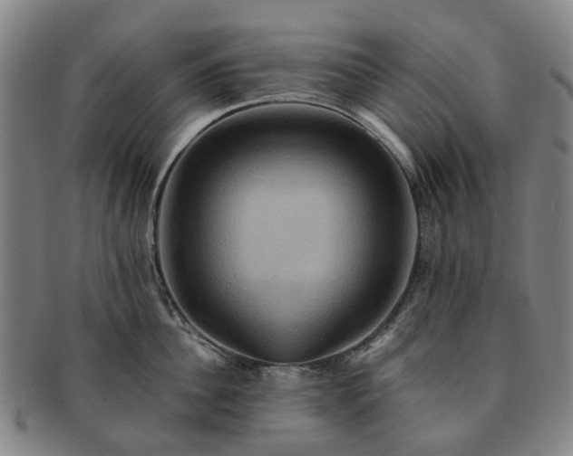 X0000091580956200708271217