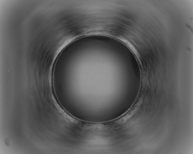 X0000091580957200708271217
