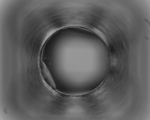 X0000091580958200708271217