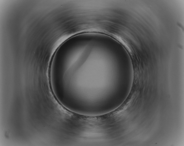 X0000091580959200708271217