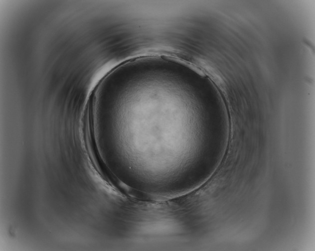 X0000091580960200708271217