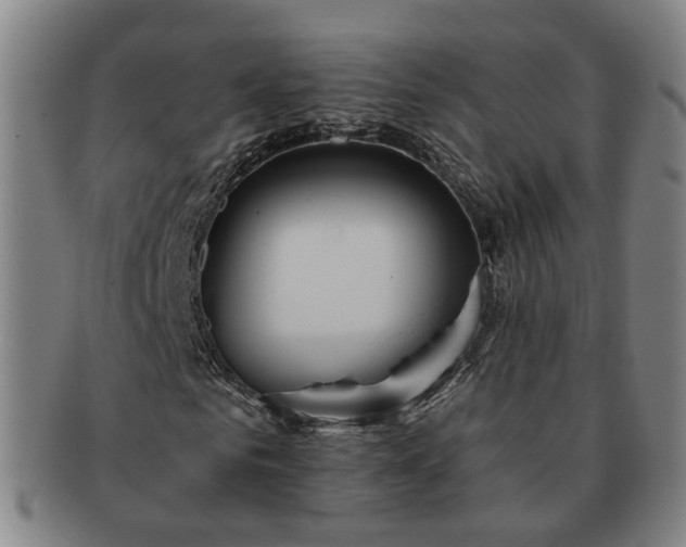 X0000091580961200708271217
