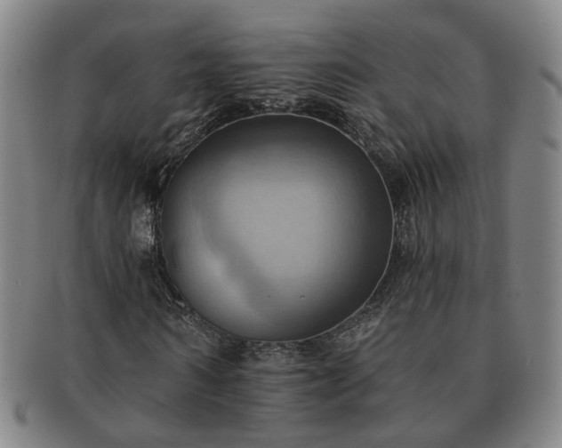 X0000091580962200708271217