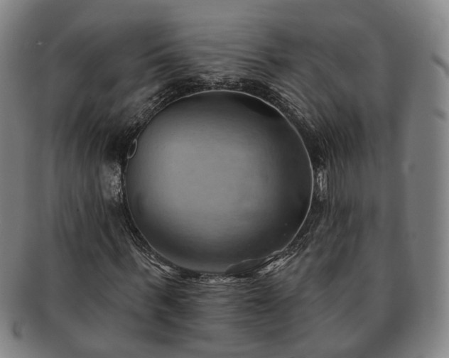 X0000091580963200708271217