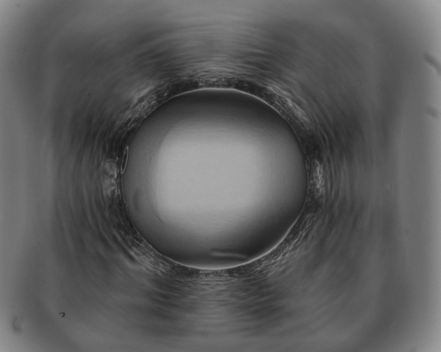X0000091580964200708271217