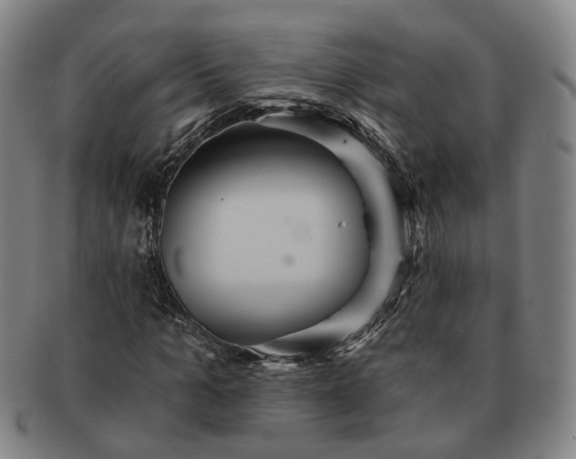 X0000091580965200708271217