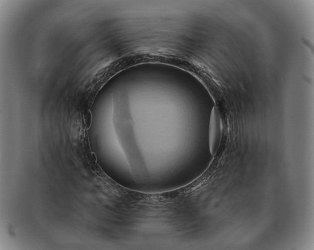 X0000091580966200708271216