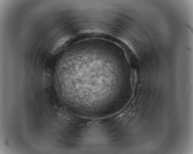 X0000091580967200708271216