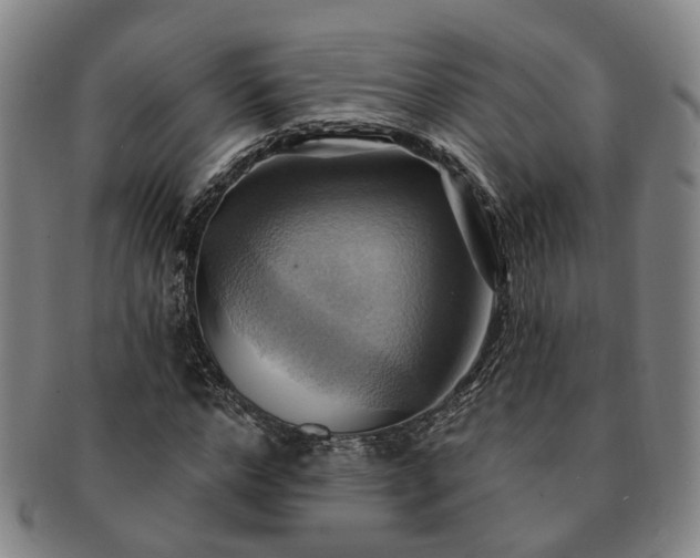 X0000091580968200708271216