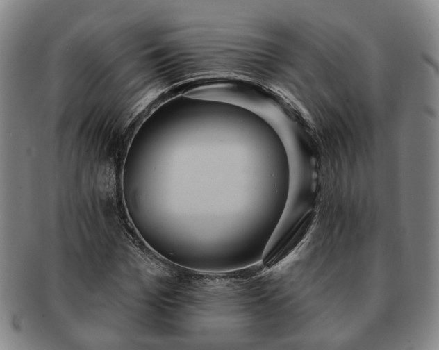 X0000091580969200708271216