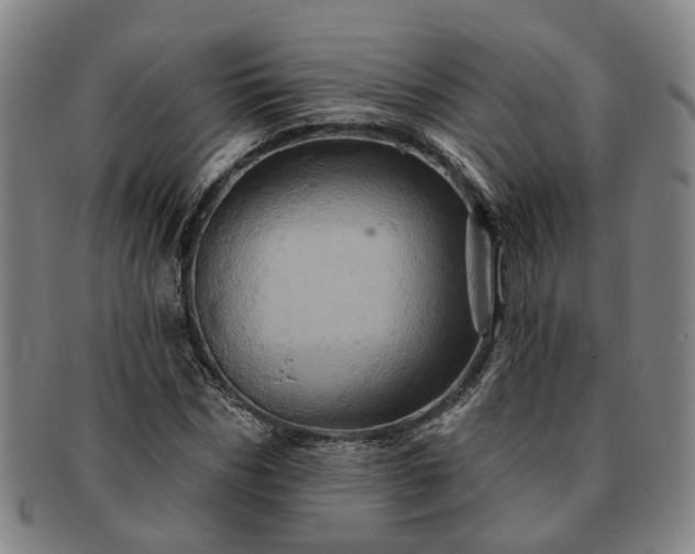 X0000091580970200708271216