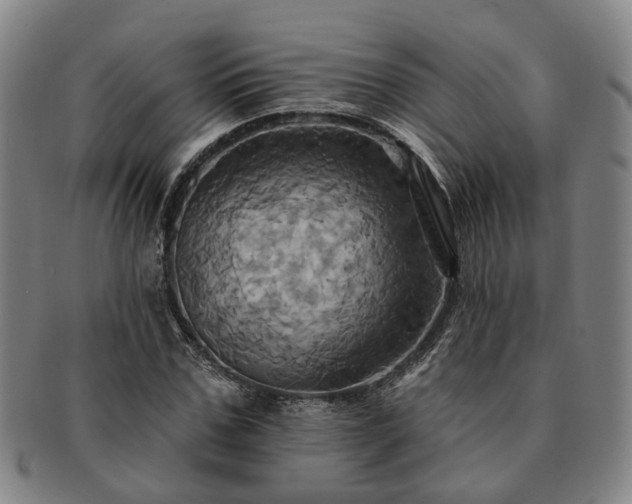 X0000091580971200708271216