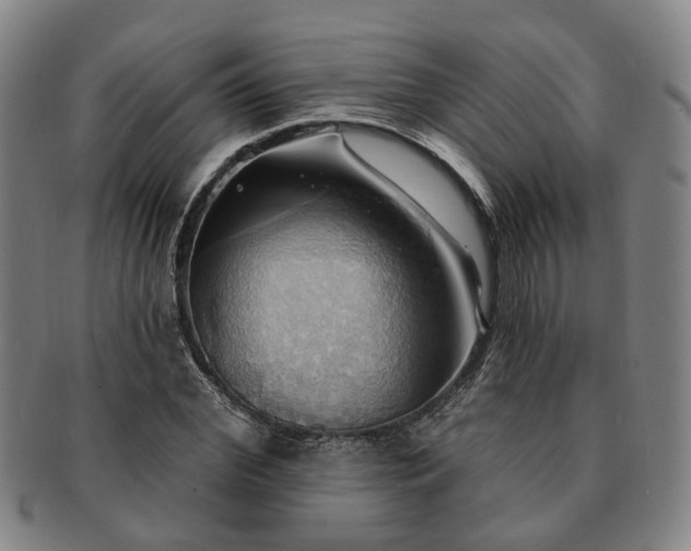 X0000091580972200708271216