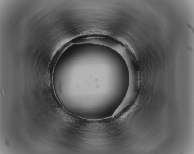 X0000091580973200708271216