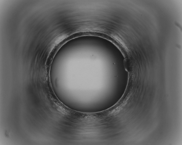 X0000091580974200708271216