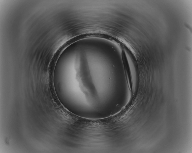 X0000091580975200708271216