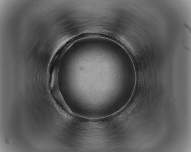 X0000091580976200708271216
