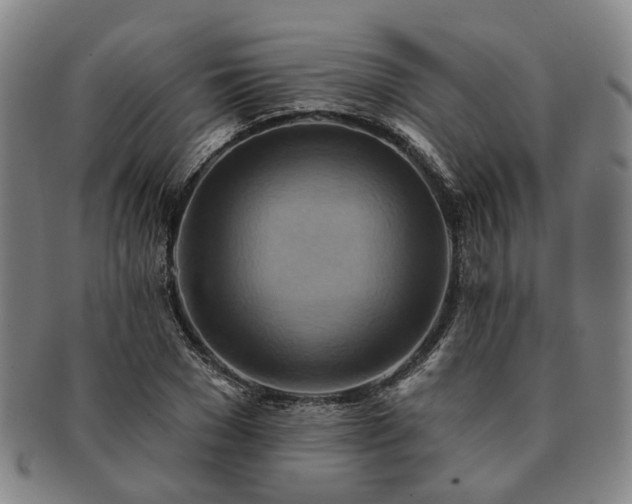 X0000091580977200708271216
