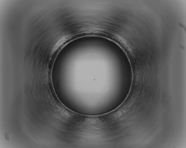 X0000091580978200708271216