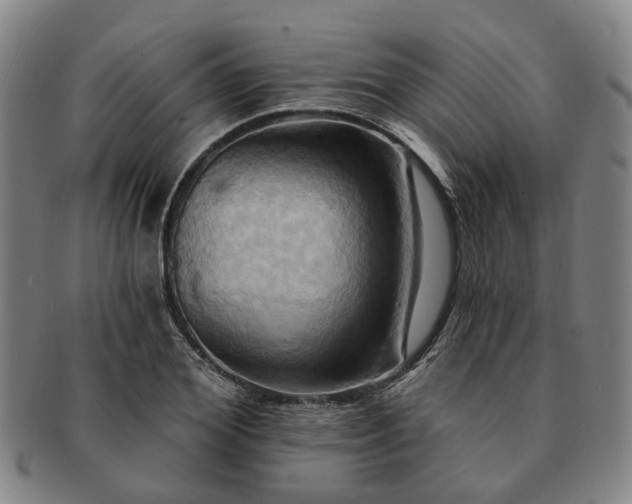 X0000091580980200708271216