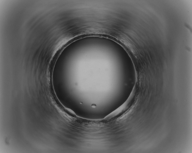X0000091580981200708271216