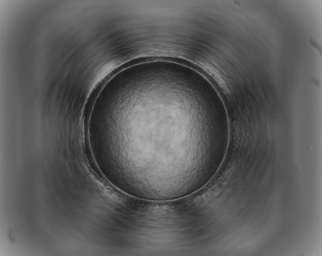 X0000091580982200708271216