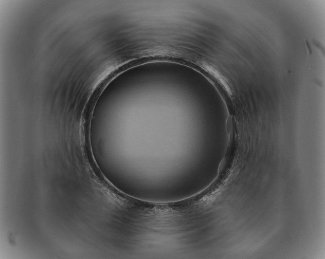 X0000091580983200708271216