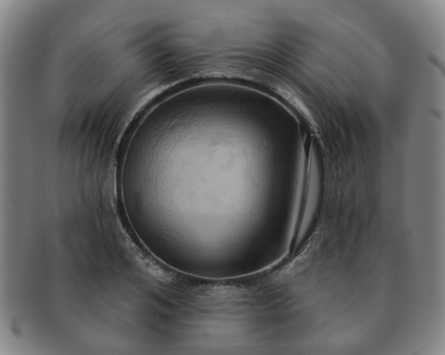 X0000091580984200708271216
