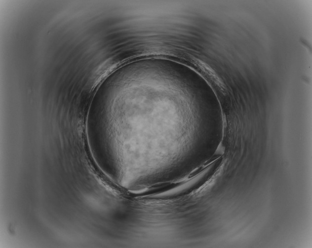 X0000091580985200708271216