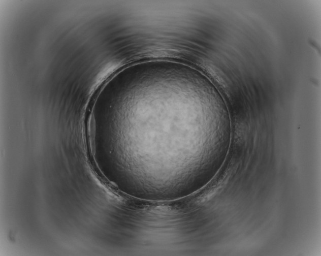 X0000091580986200708271216