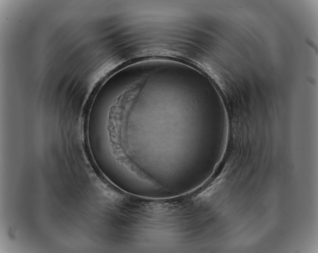 X0000091580987200708271216