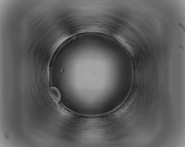 X0000091580988200708271216