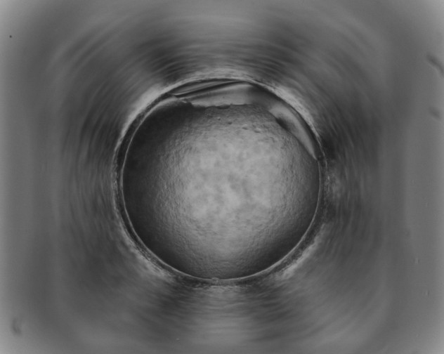 X0000091580989200708271216